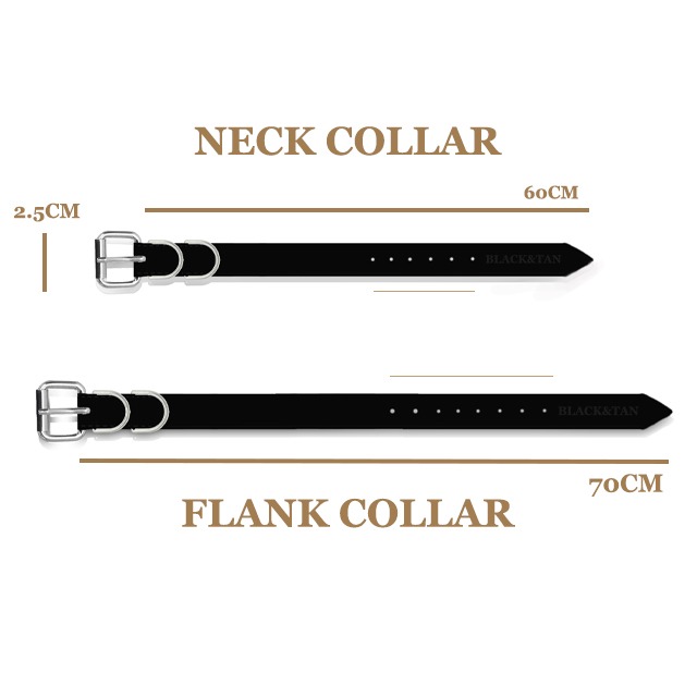 collar sizes